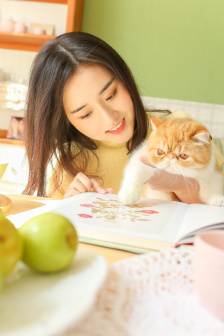 狂飙免费在线观看